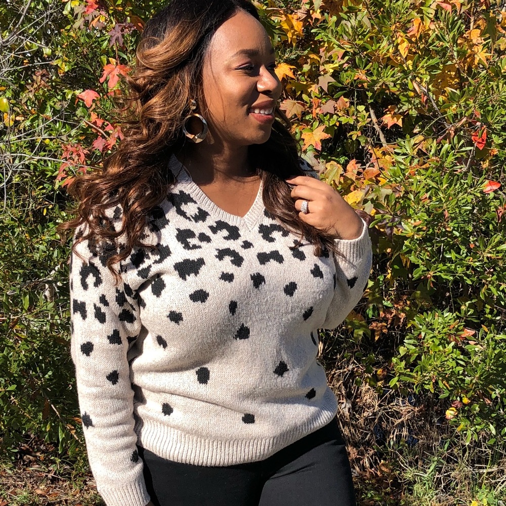 Thick Knit Leopard Print V-Neck Sweater
